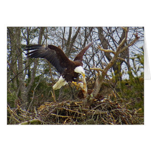 Cartão Propagação Eagle
