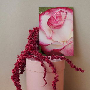 Cartão Proposta de Casamento Personalizada com Rosa Rosa 