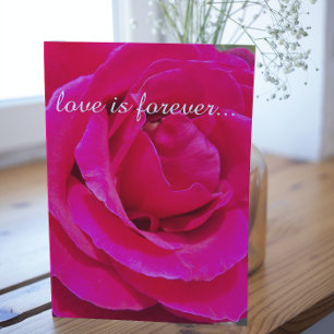 Cartão Proposta de Casamento Personalizada Rosa Rosa Verm