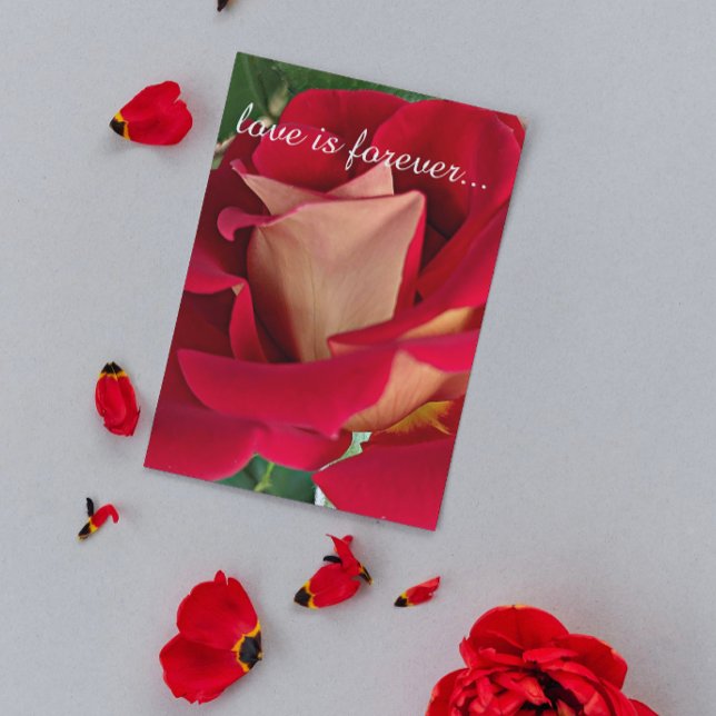 Cartão Proposta de Casamento Personalizado Rosa Vermelha  (In Situ)