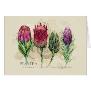 Cartão Protea Notecard
