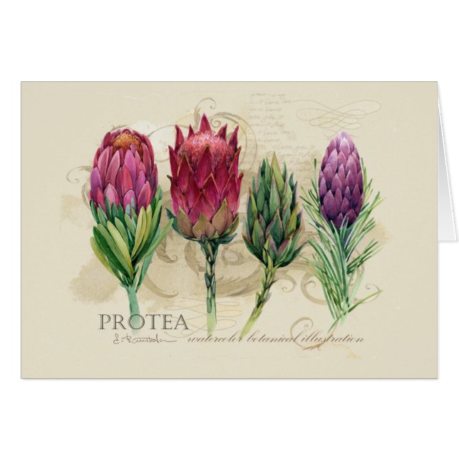 Cartão Protea Notecard (Frente horizontal)