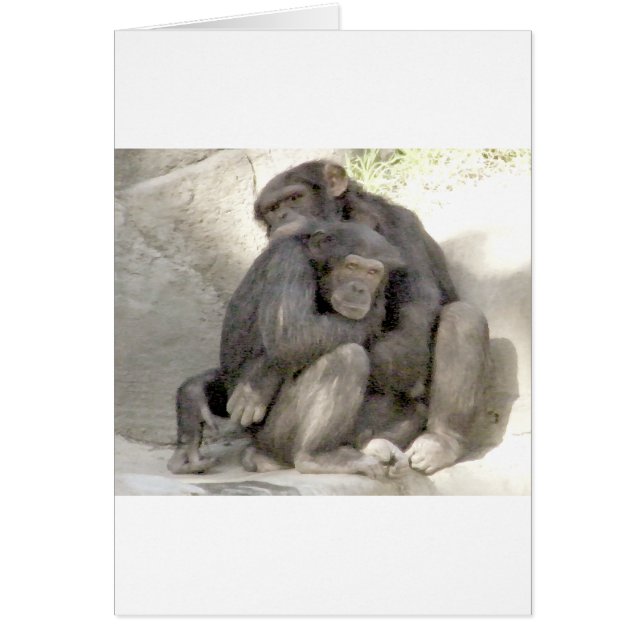 Cartão Proteção do Amor_ (Frente)