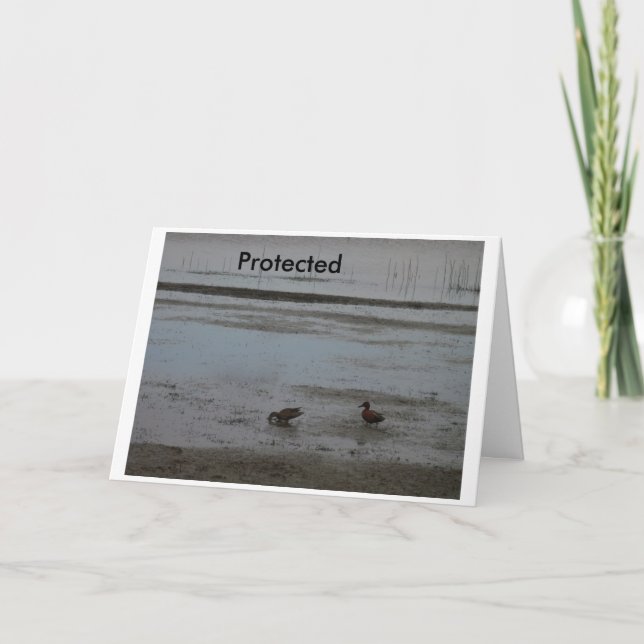 Cartão Protegido (Frente)