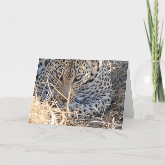 CARTÃO PRÓXIMO AO ROSTO DE LEOPARDO (Frente)