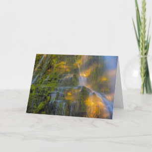 Cartão Proxy Cai Três Irmãs Selvagem Oregon