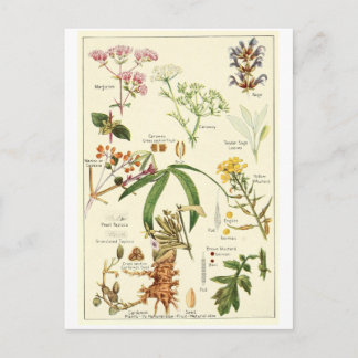 Cartão prudente da receita do cartão da ilustração