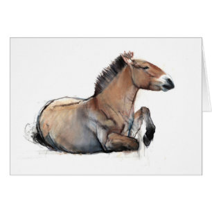 Cartão Przewalski assentado 2011