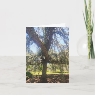 Cartão Psalm 1:1-3 Blank Card