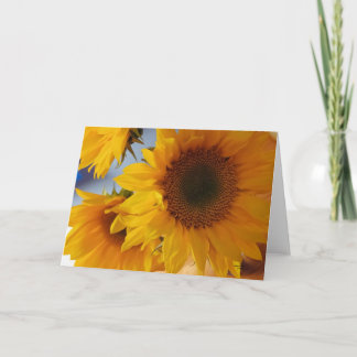 Cartão Psalm 96:1 Sunflowers Blank 