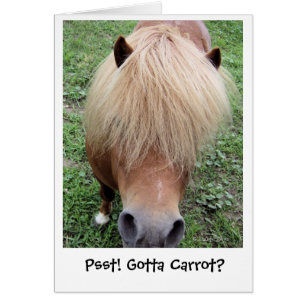 Cartão Psst! Obtido à cenoura?