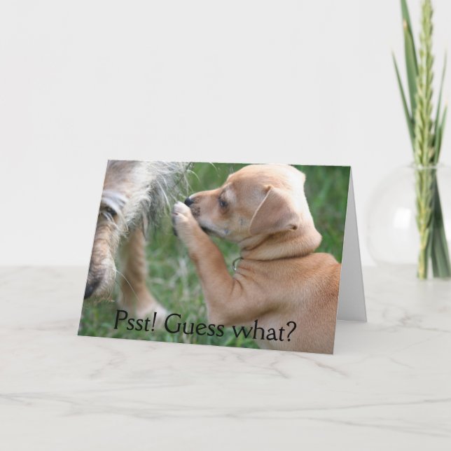 Cartão Psst! Suposição que? (Frente)