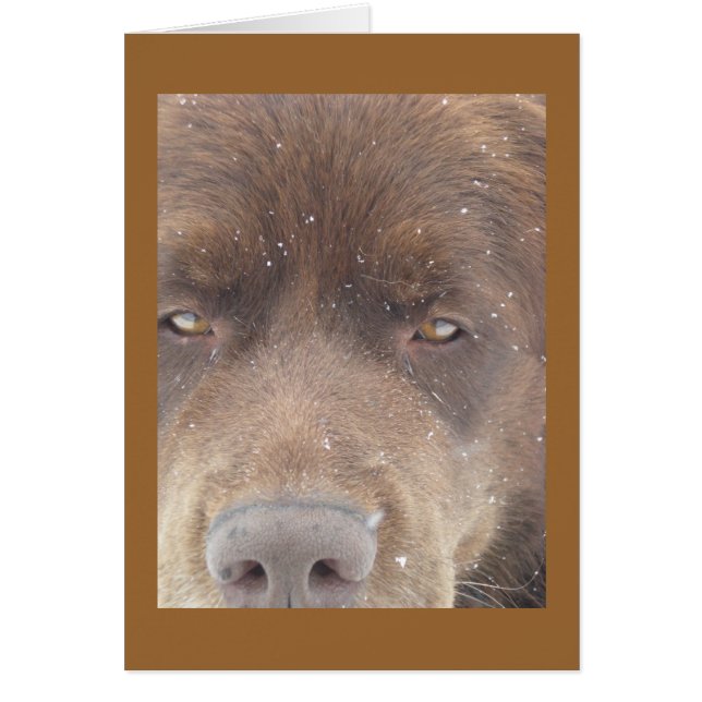 Cartão Pudge Bear (Frente)