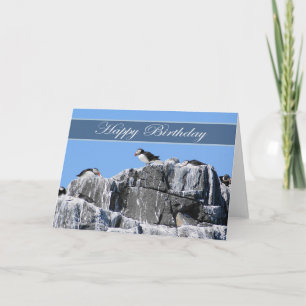 Cartão Puffin Birthday Card, wildelife