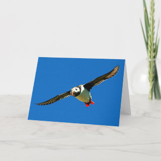 Cartão Puffin em Voo