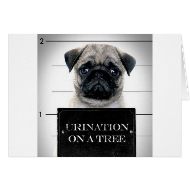 Cartão Pug (Frente Horizontal)