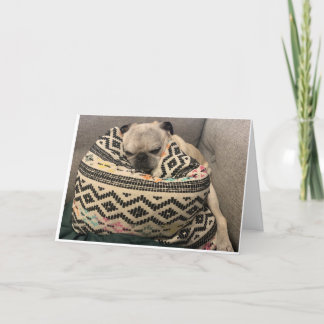 Cartão Pug Birthday Card - Lugar Feliz