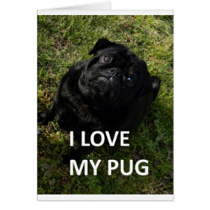 Cartão pug black love w pic