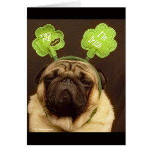 Cartão Pug Card # 3