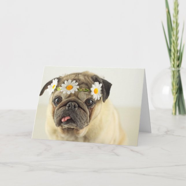 Cartão Pug com Daisy Crown (Frente)