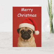 Pug com um chapéu de Papai Noel Saudação de Natal 
