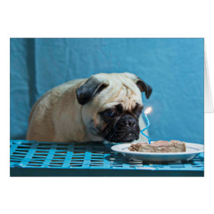 Cartão Pug do feliz aniversario com vela do bife - cartã
