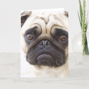 Cartão Pug Dog Greeting Card