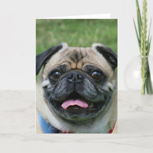 Cartão Pug Dog Notecard