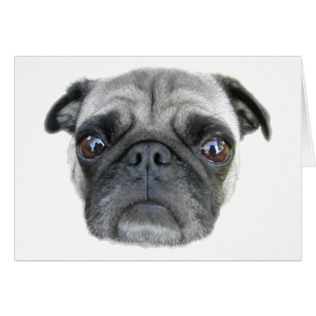Cartão Pug Face Card (Frente Horizontal)