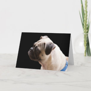Cartão Pug Hugs & Kisses - Foco da placa de aniversário 