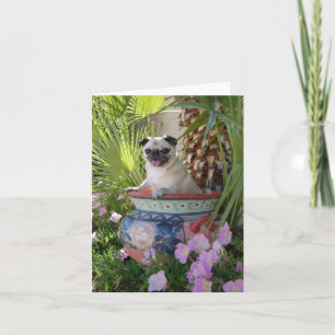 Cartão Pug in a Jug