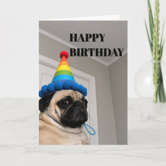Cartão Pug Mal-Humorado Usando Chapéu de Aniversário Arco
