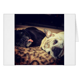 Cartão Pug Nap