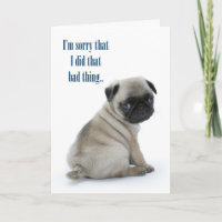 Pug pesaroso