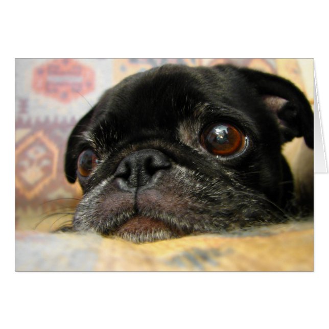 Cartão Pug Puppup Face Preta (Frente Horizontal)