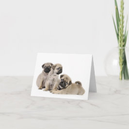 Cartão Pug Puppy Card