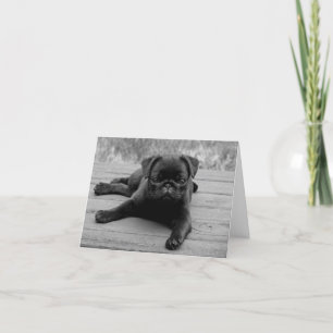 Cartão Pug Puppy Dog Black & White Vazio Note Card