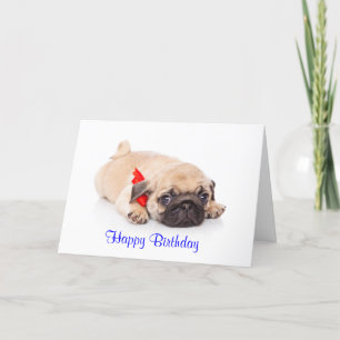 Cartão Pug Puppy Dog Happy Birthday Card - Verse inside
