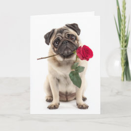 Cartão Pug Valentine