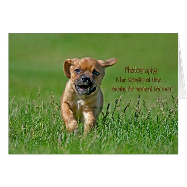 Cartão Puggle Pup (Frente horizontal)