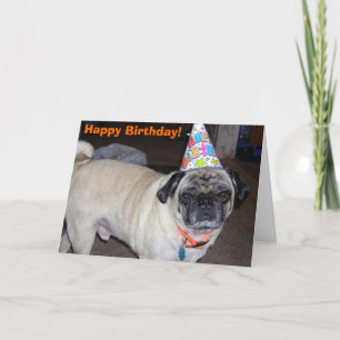 Cartão Puggy Greetings: Birthday