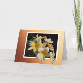 Cartão Pulmeria enquadrada