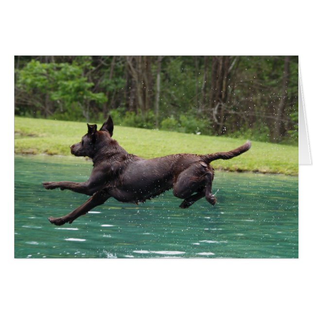 Cartão Pulo de voo! (Frente Horizontal)