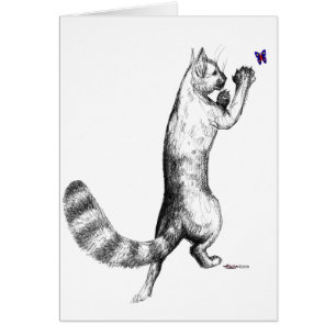 Cartão Pulverização de Gatos