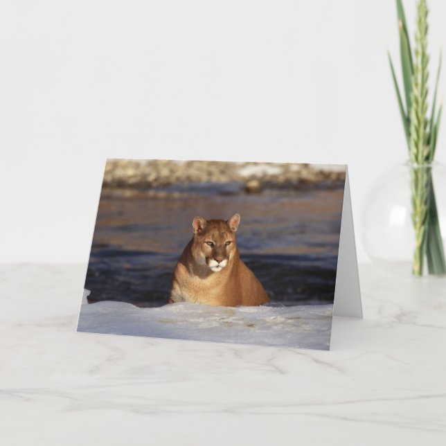 Cartão Puma do inverno (Frente)