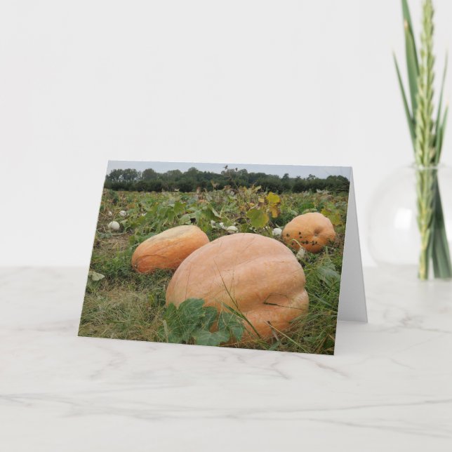 Cartão Pumpkin (Frente)