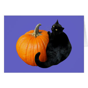 Cartão Pumpkin de Gato Negro