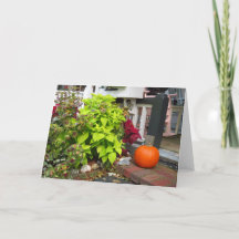 Pumpkin e Coleus - Martha's Vineyard