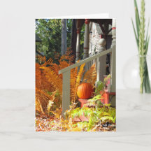 Pumpkin e Ferns - Martha's Vineyard