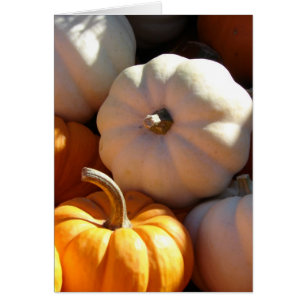 Cartão Pumpkin Pile